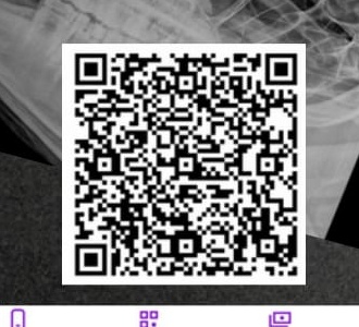 QR Code Pix VetCheck